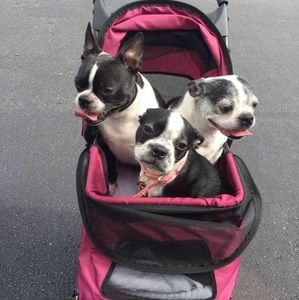 Meet your Posher, Marian